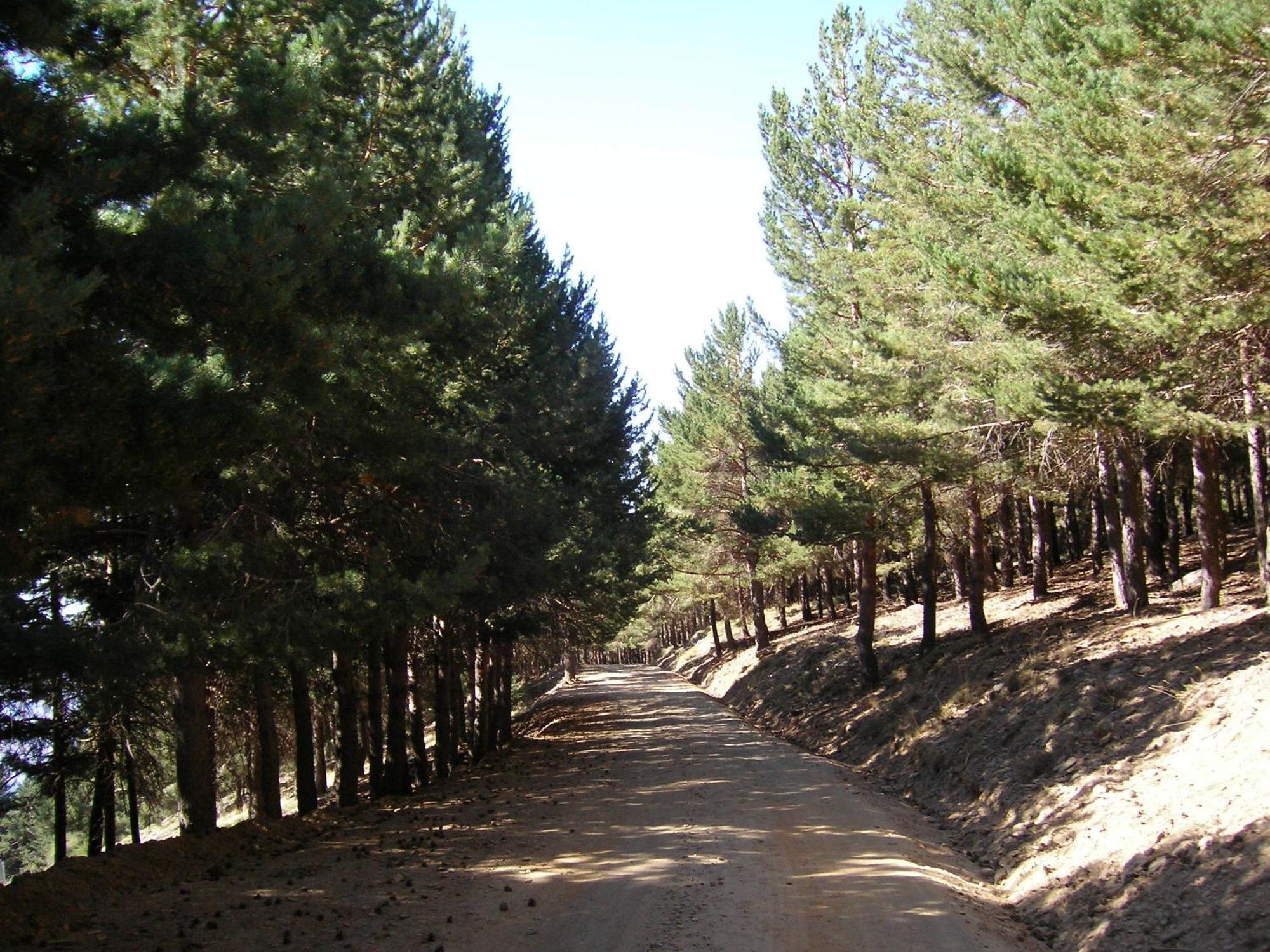 Hostal Rural Poqueira Capileira Bagian luar foto